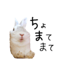 上から目線のロイドくん（個別スタンプ：28）