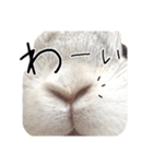 上から目線のロイドくん（個別スタンプ：29）