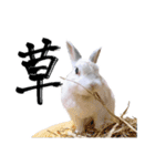 上から目線のロイドくん（個別スタンプ：31）