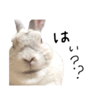 上から目線のロイドくん（個別スタンプ：32）