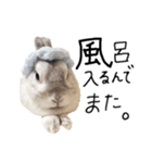 上から目線のロイドくん（個別スタンプ：34）