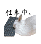 上から目線のロイドくん（個別スタンプ：35）