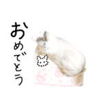 上から目線のロイドくん（個別スタンプ：37）