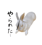 上から目線のロイドくん（個別スタンプ：38）