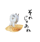 上から目線のロイドくん（個別スタンプ：40）