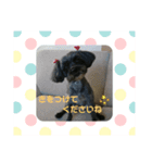 チョコ＆マメ 3（個別スタンプ：2）