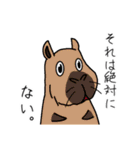ドウブツサン。（個別スタンプ：38）