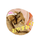 バーディ＆ソラ（個別スタンプ：3）