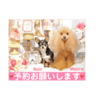 マティラとノアールのラブリーなスタンプ（個別スタンプ：10）
