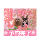 マティラとノアールのラブリーなスタンプ（個別スタンプ：11）