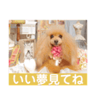 マティラとノアールのラブリーなスタンプ（個別スタンプ：27）