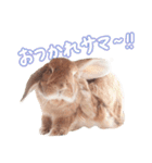 コムティティの毎日会話2（個別スタンプ：2）