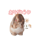 コムティティの毎日会話2（個別スタンプ：3）