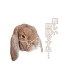 コムティティの毎日会話2（個別スタンプ：8）