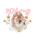 コムティティの毎日会話2（個別スタンプ：9）