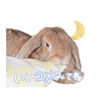 コムティティの毎日会話2（個別スタンプ：10）