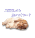 コムティティの毎日会話2（個別スタンプ：11）