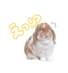 コムティティの毎日会話2（個別スタンプ：12）