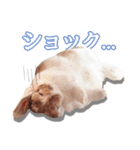 コムティティの毎日会話2（個別スタンプ：13）