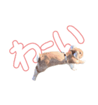 コムティティの毎日会話2（個別スタンプ：15）