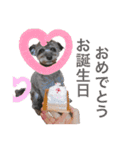 ぶぶスタンプ2♡ちわぷ（個別スタンプ：14）