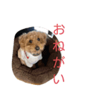 レオ・ポン のスタンプ（個別スタンプ：2）