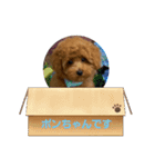 レオ・ポン のスタンプ（個別スタンプ：4）