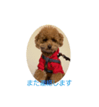レオ・ポン のスタンプ（個別スタンプ：10）