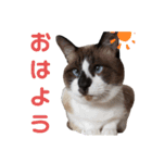 セブン様3（個別スタンプ：1）