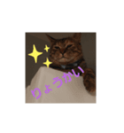 ありみしゃ2（個別スタンプ：4）