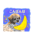 ふわふわプードルの気持ち2（個別スタンプ：3）