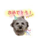ふわふわプードルの気持ち2（個別スタンプ：9）