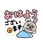モコモコたん④（個別スタンプ：4）