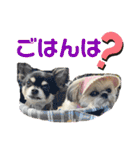 モコモコたん④（個別スタンプ：7）