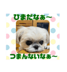 モコモコたん④（個別スタンプ：16）