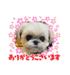 モコモコたん④（個別スタンプ：17）