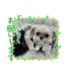 モコモコたん④（個別スタンプ：18）