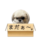 モコモコたん④（個別スタンプ：28）