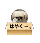 モコモコたん④（個別スタンプ：30）