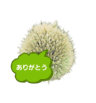 ねぎぼうず（個別スタンプ：2）