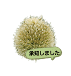 ねぎぼうず（個別スタンプ：3）