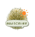 ねぎぼうず（個別スタンプ：5）