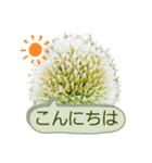 ねぎぼうず（個別スタンプ：6）