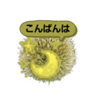 ねぎぼうず（個別スタンプ：9）