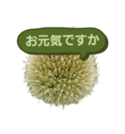 ねぎぼうず（個別スタンプ：14）