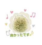 ねぎぼうず（個別スタンプ：22）