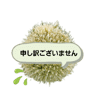 ねぎぼうず（個別スタンプ：24）