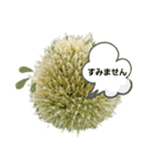 ねぎぼうず（個別スタンプ：28）