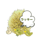 ねぎぼうず（個別スタンプ：31）