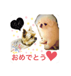 chirol1016（個別スタンプ：5）